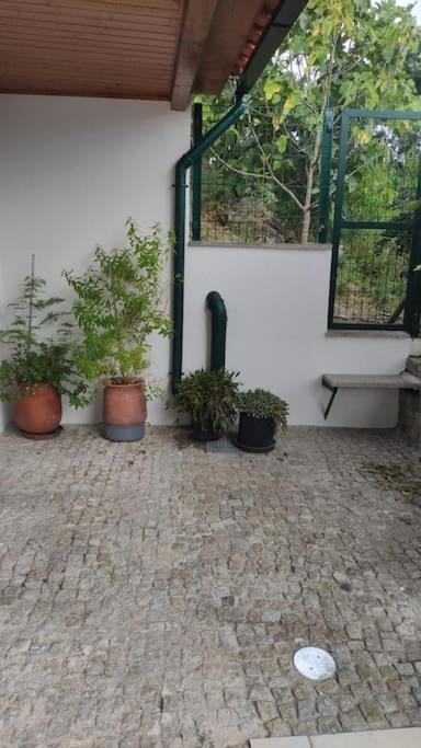 Casa Dionisio Villa Amarante Ngoại thất bức ảnh